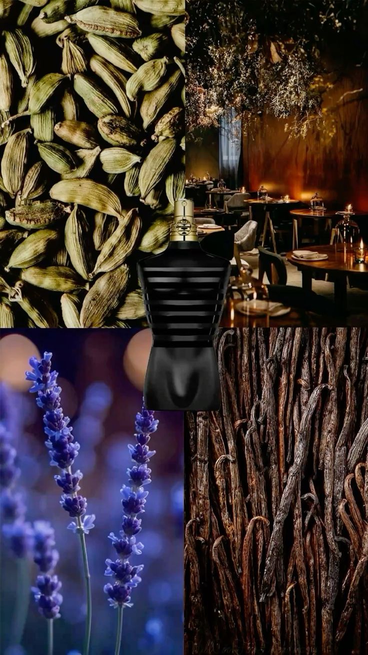 Jean Paul Gaultier Le Male Le Parfum portada